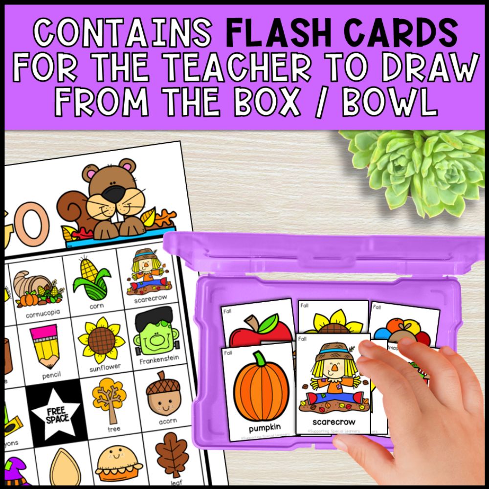 4 Seasons Bingo Bundle No Prep - Special Education