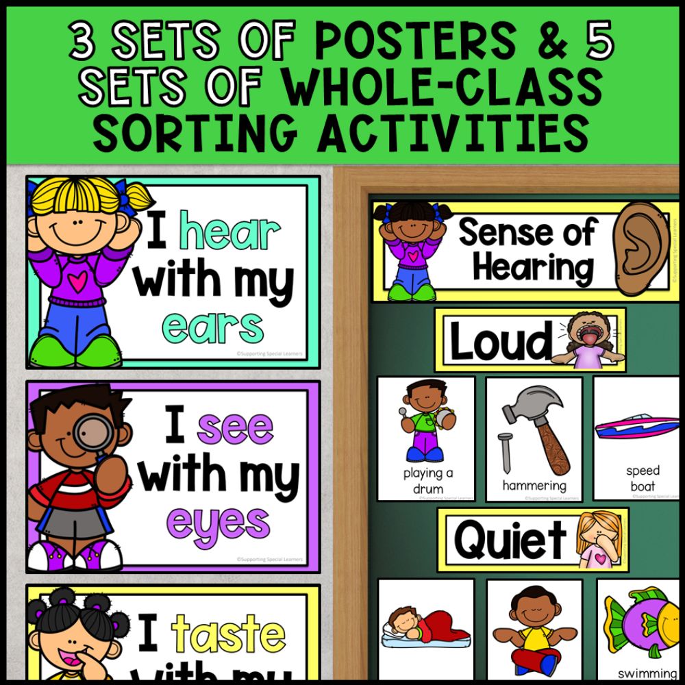 5 Senses Science Unit: Worksheets, Task Cards, Books & More