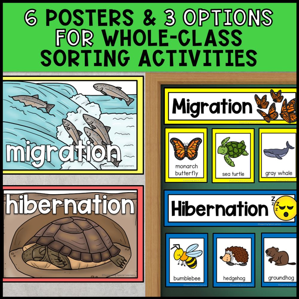 Animal Adaptations - Camouflage, Hibernation and Migration