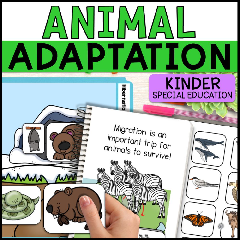 Animal Adaptations - Camouflage, Hibernation and Migration