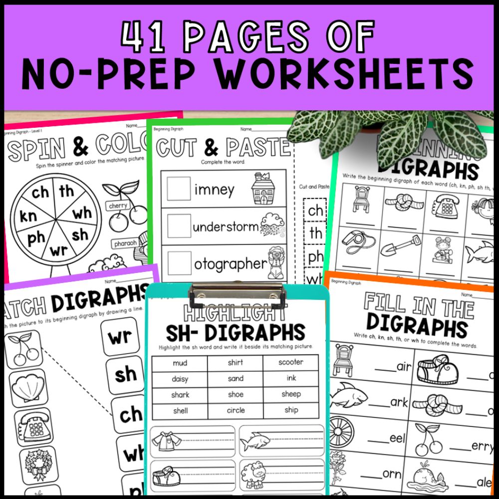 Beginning Digraphs – Adapted Books, No-Prep Worksheets, Task Cards