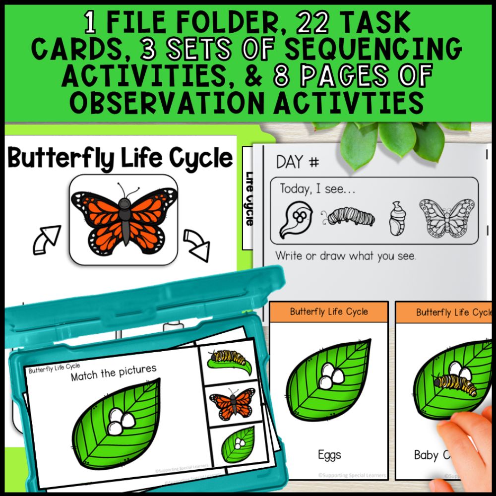 Butterfly Life Cycle Activities: Adapted Book, Posters and Task Cards