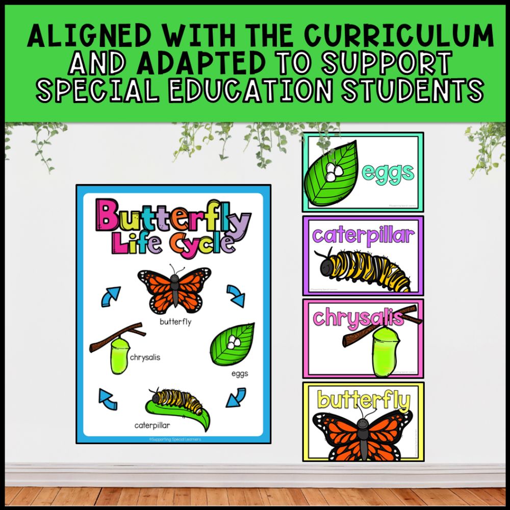 Butterfly Life Cycle Activities: Adapted Book, Posters and Task Cards