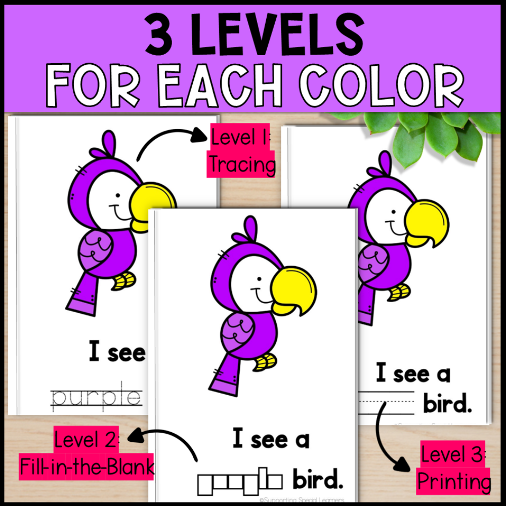color student workbooks 3 levels for each color