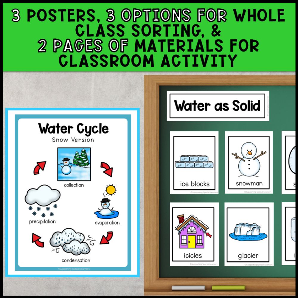 Water Cycle Grade 2 Adapted Science Special Education
