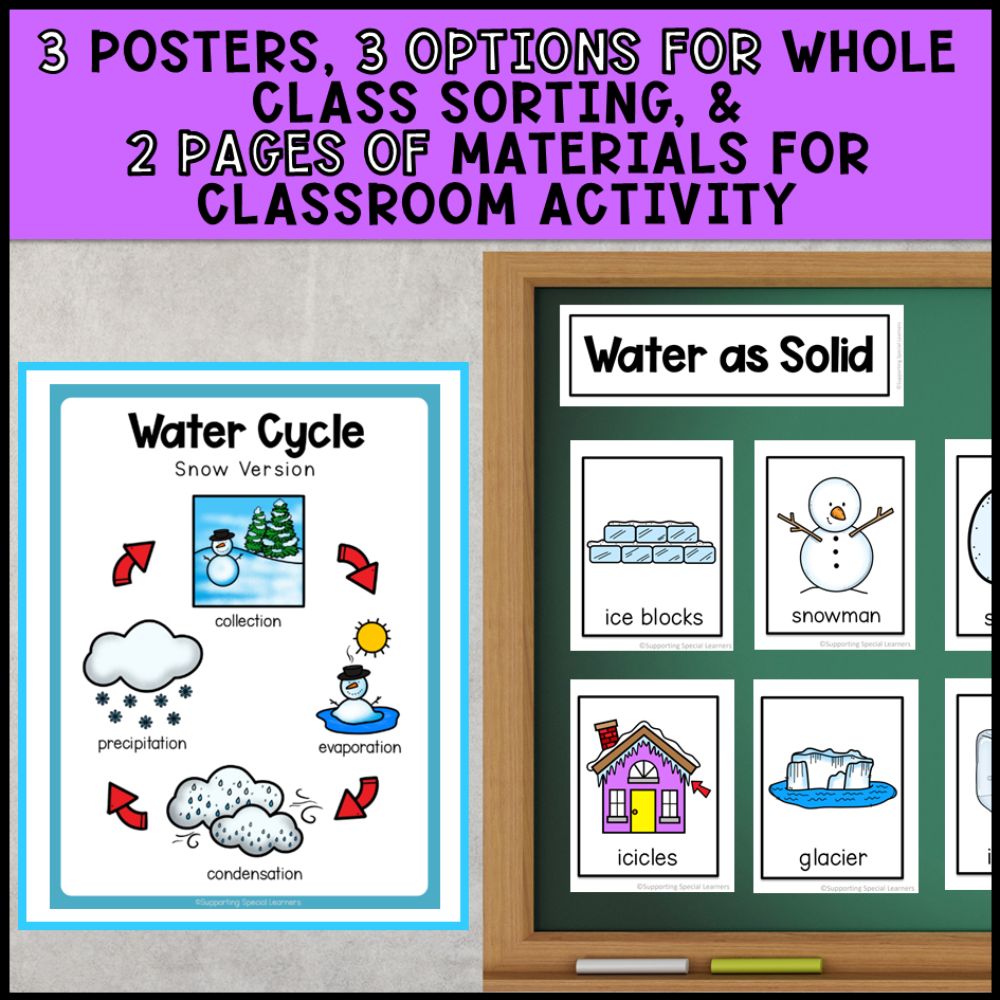 Earth and Space Systems Grade 2 Adapted Science Special Education