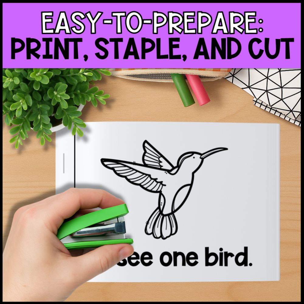Emergent Readers 12 Number Booklets for Beginning Readers