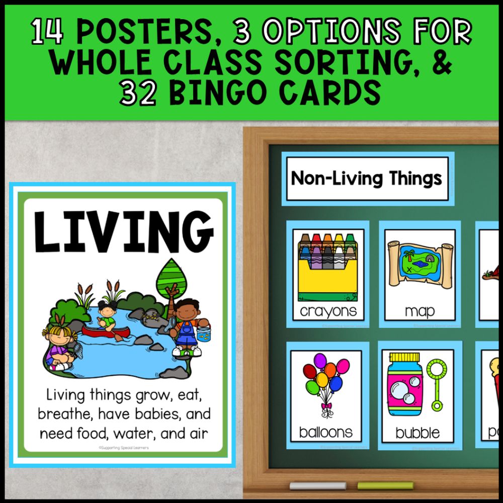 Grade 1 Living and Non-Living Things Activities