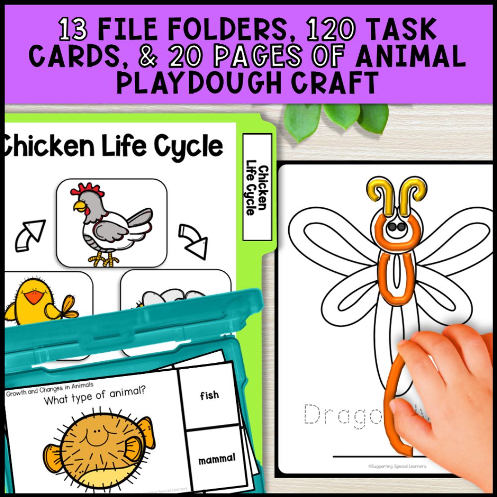 Grade 2 Adapted Science Bundle for Special Education