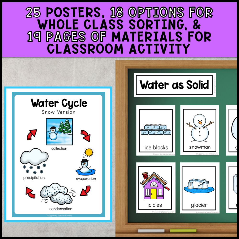 Grade 2 Adapted Science Bundle for Special Education