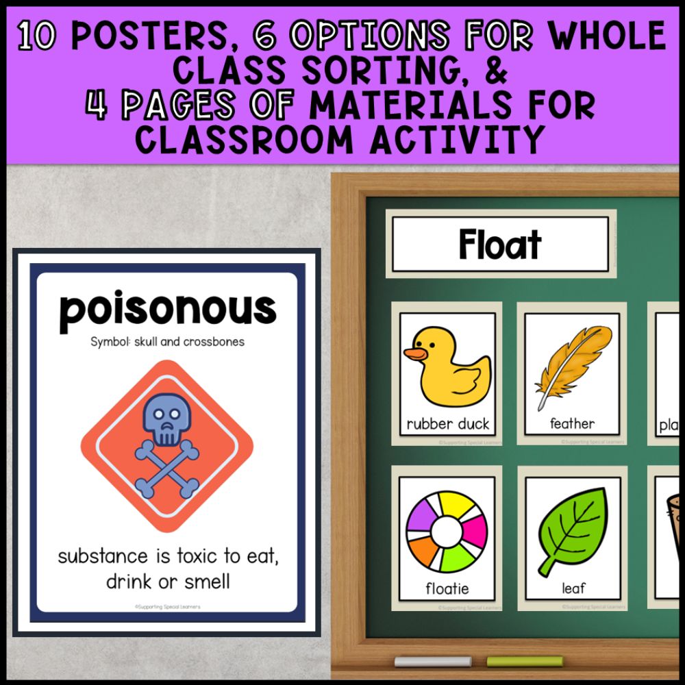 Matter and Energy Grade 2 Adapted Science Special Education
