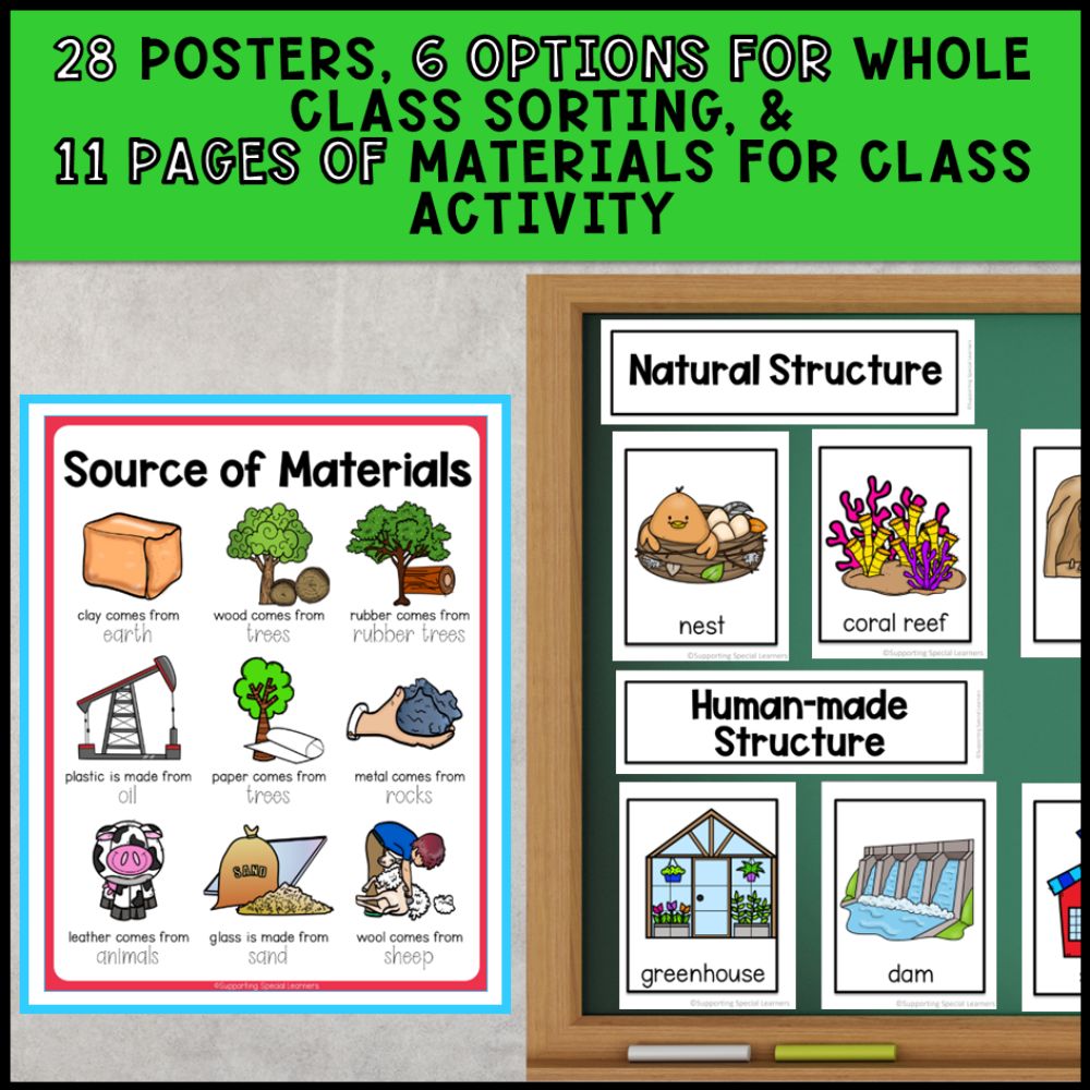 Structures & Materials Grade 1 Adapted Science - Special Education