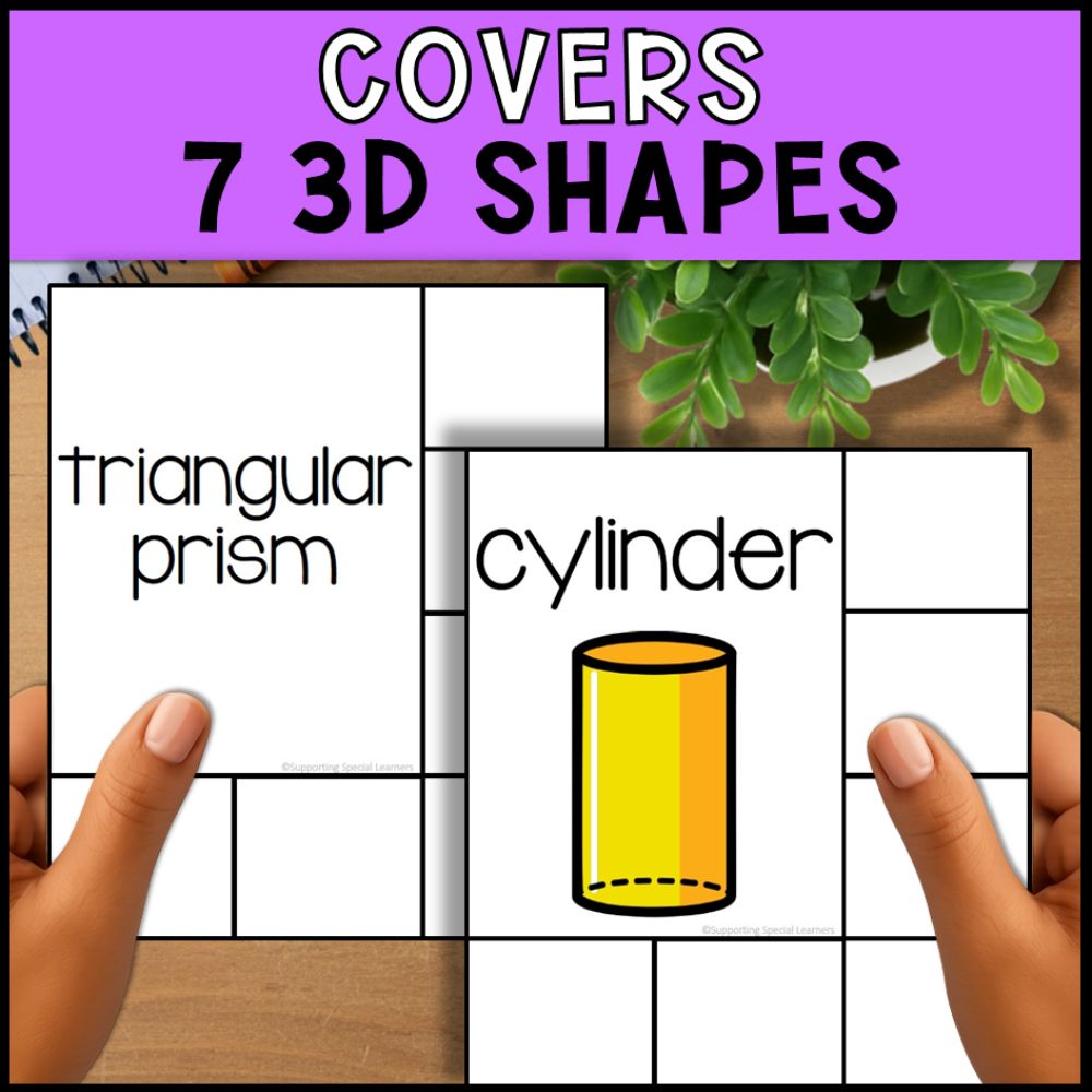 3D Shapes Sorting Activities - Sorting Mats