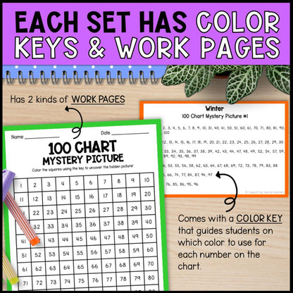 4 seasons theme - hundreds chart mystery pictures bundle color keys and work pages