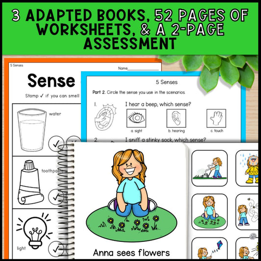 5 Senses Science Unit: Worksheets, Task Cards, Books & More