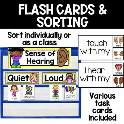 5 senses science unit flashcards and sorting