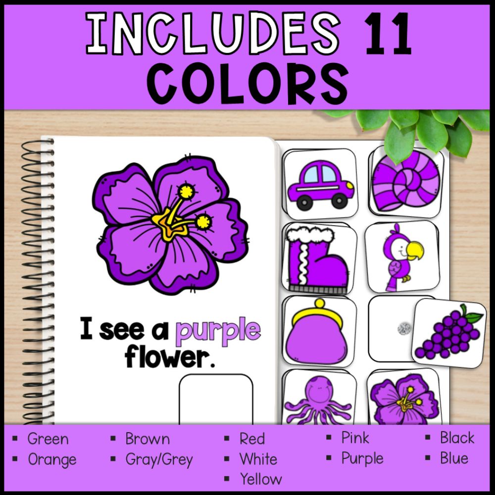 Adapted Color Books - Practice Colors and Build Vocabulary