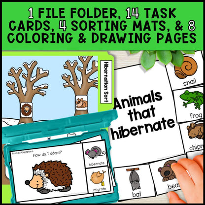 Animal Adaptations - Camouflage, Hibernation and Migration