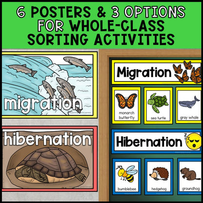 Animal Adaptations - Camouflage, Hibernation and Migration