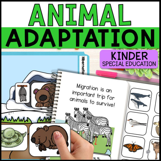 Animal Adaptations - Camouflage, Hibernation and Migration