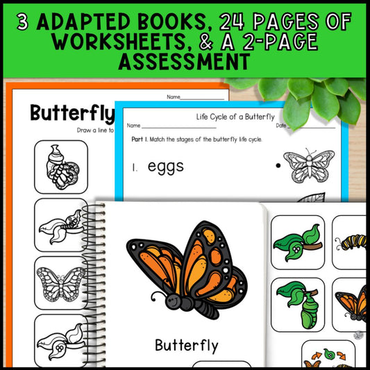 Butterfly Life Cycle Activities: Adapted Book, Posters and Task Cards