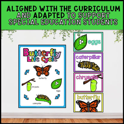 Butterfly Life Cycle Activities: Adapted Book, Posters and Task Cards