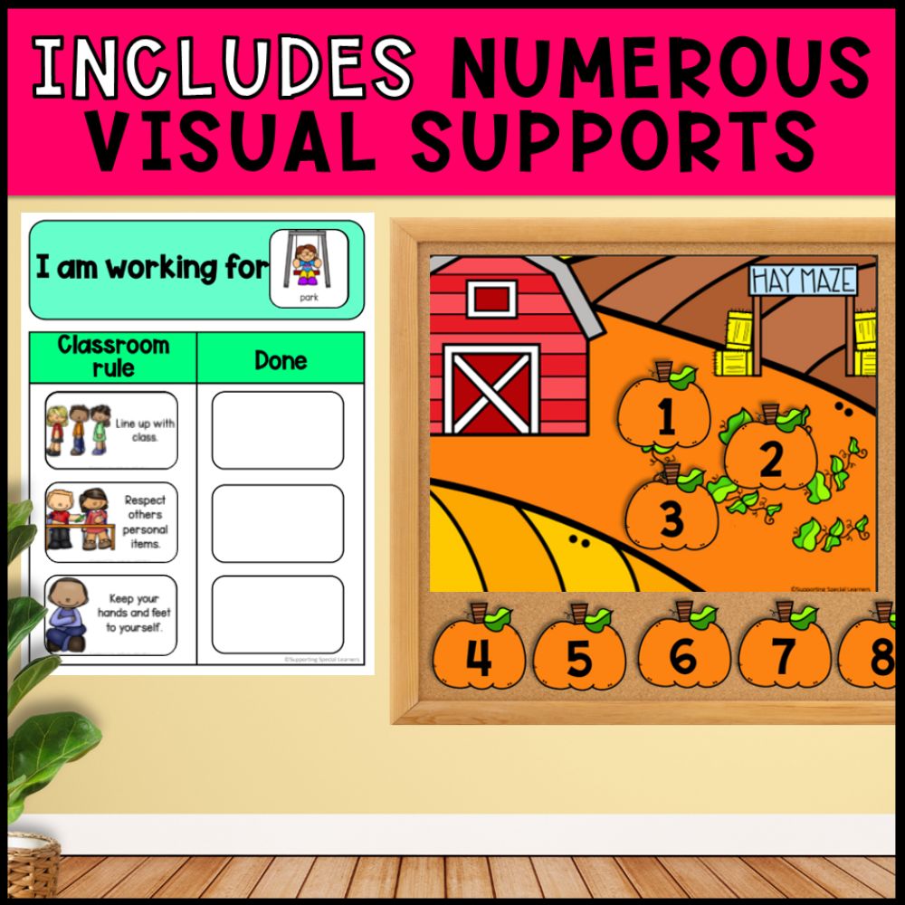 Classroom Behavior Management Visuals: Special Education and Primary