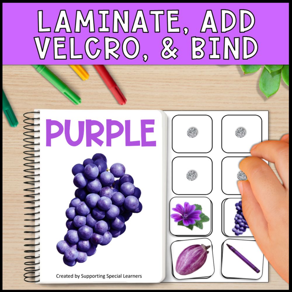 color adapted books using real pictures - special education laminate, add velcro and bind