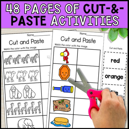 colors and counting to 5 worksheets bundle with adapted books 48 pages of cut and paste activities