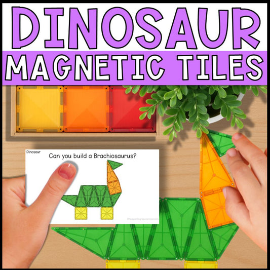 Dinosaur Magnetic Tiles Task Boxes for Special Education
