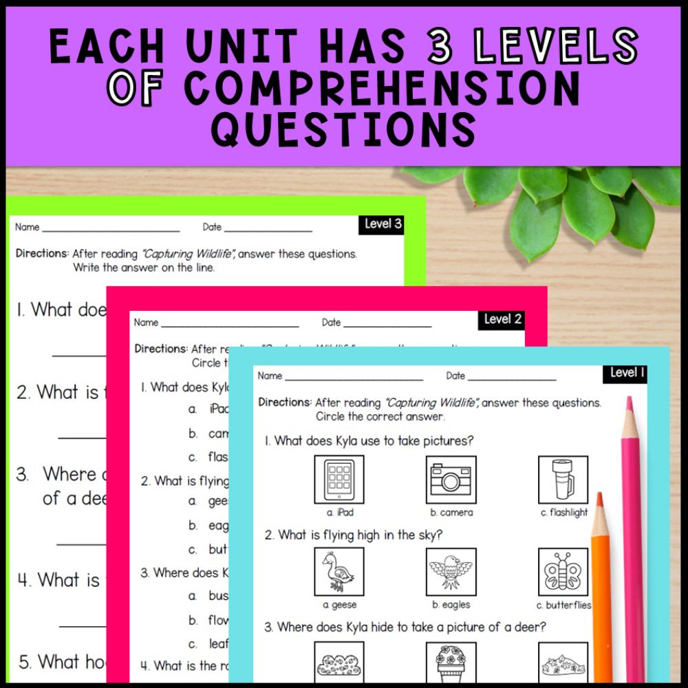 Fall Adapted Books with Comprehension Activities - Special Education