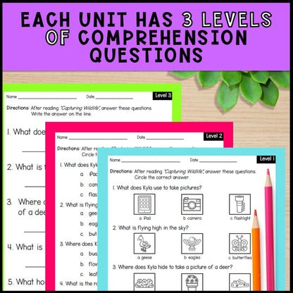Fall Adapted Books with Comprehension Activities - Special Education