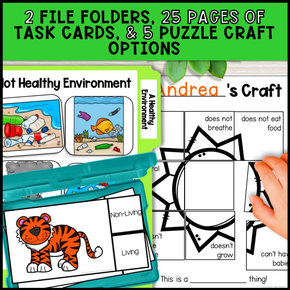 Grade 1 Living and Non-Living Things Activities
