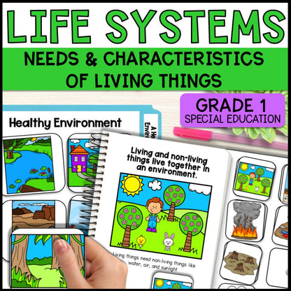 Grade 1 Living and Non-Living Things Activities