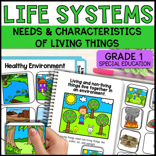 Grade 1 Living and Non-Living Things Activities
