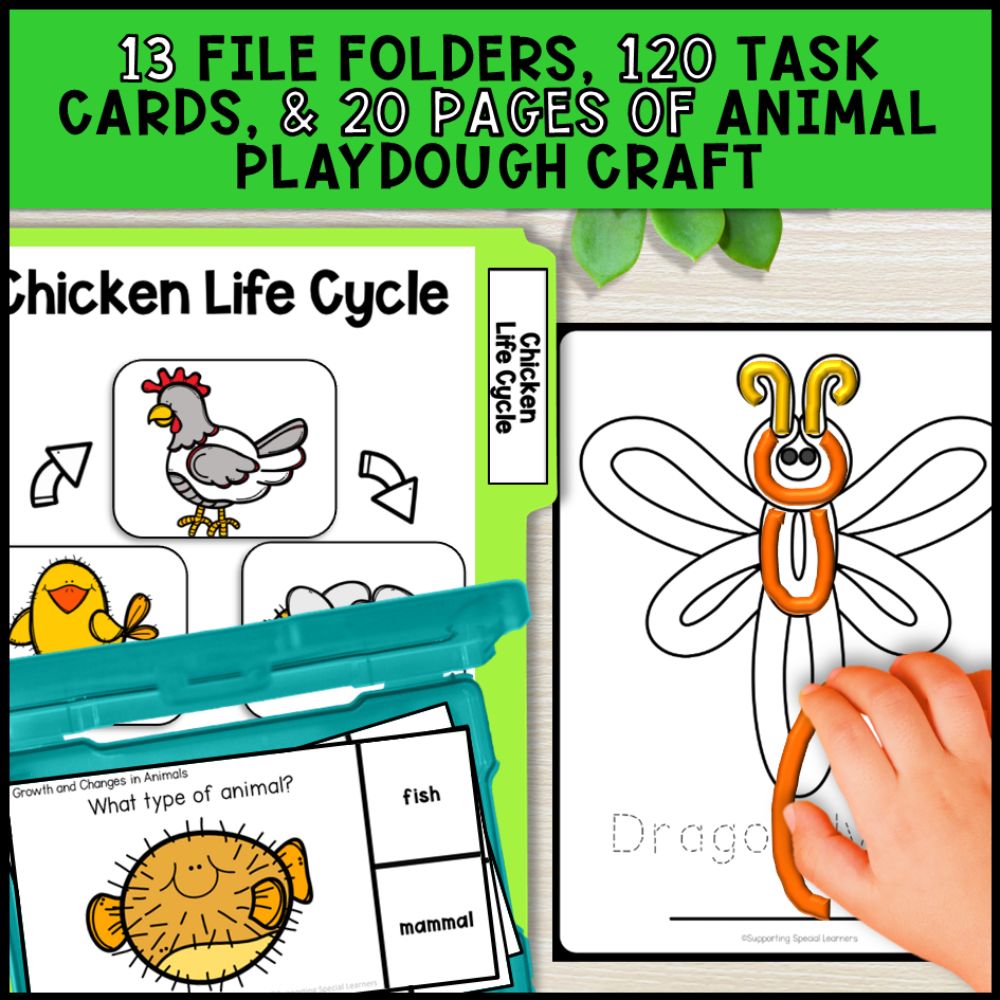 Grade 2 Adapted Science Bundle for Special Education