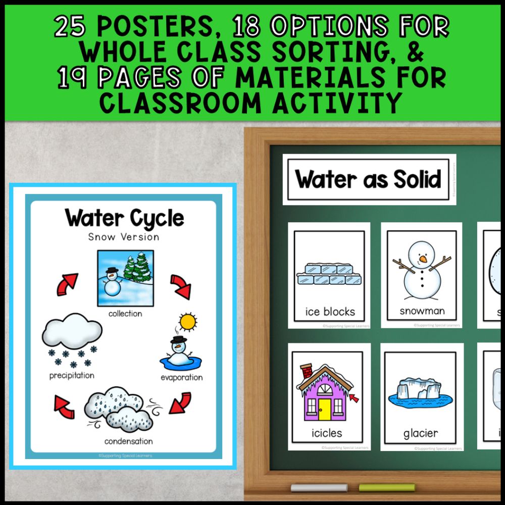 Grade 2 Adapted Science Bundle for Special Education