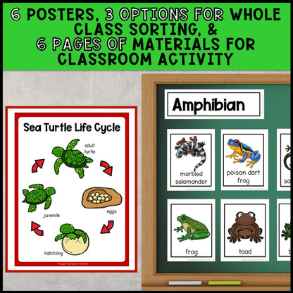 Growth and Changes in Animals Grade 2 Adapted Science Units