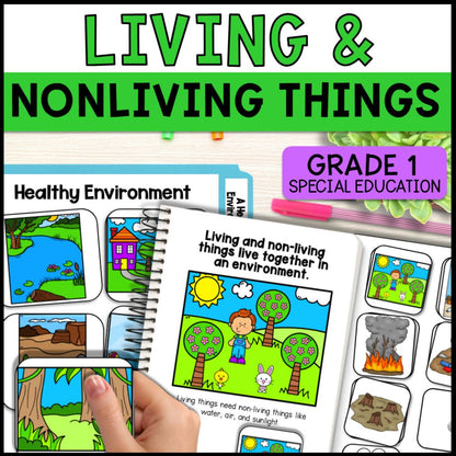 Grade 1 Living and Non-Living Things Activities