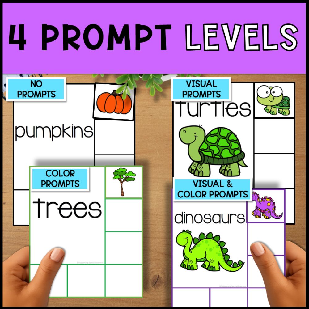 Non-Identical Sorting Activities -  Sorting Mats