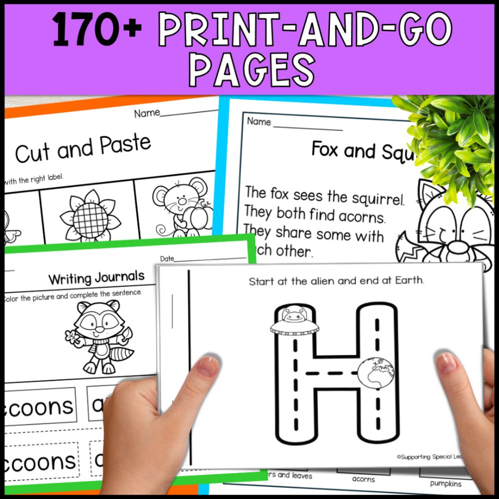 November Special Education Basic Concepts: ELA & Math Worksheets