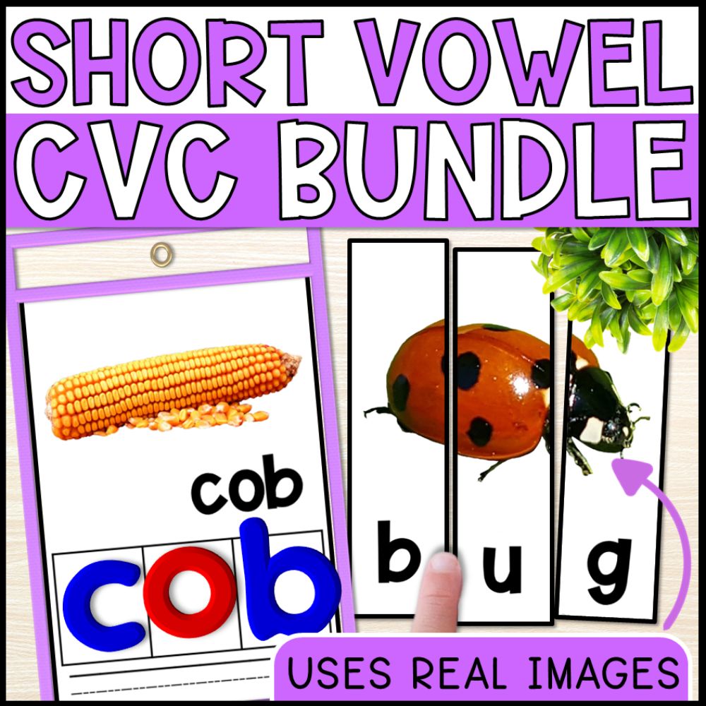 Short Vowel CVC Words Bundle with Real Photos for Special Education