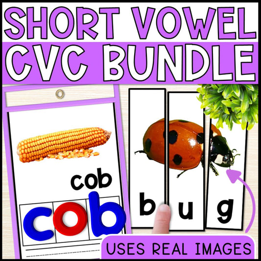 Short Vowel CVC Words Bundle with Real Photos for Special Education