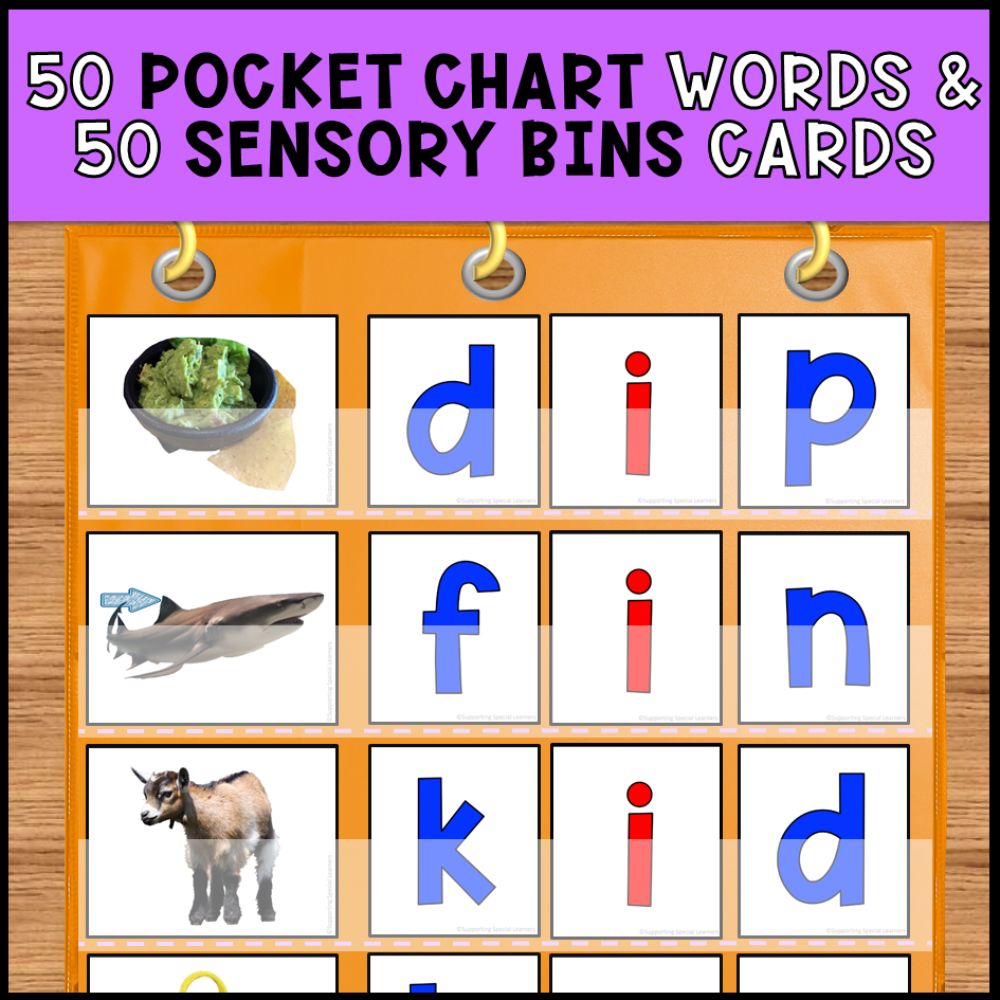 Short Vowel CVC Words Bundle with Real Photos for Special Education