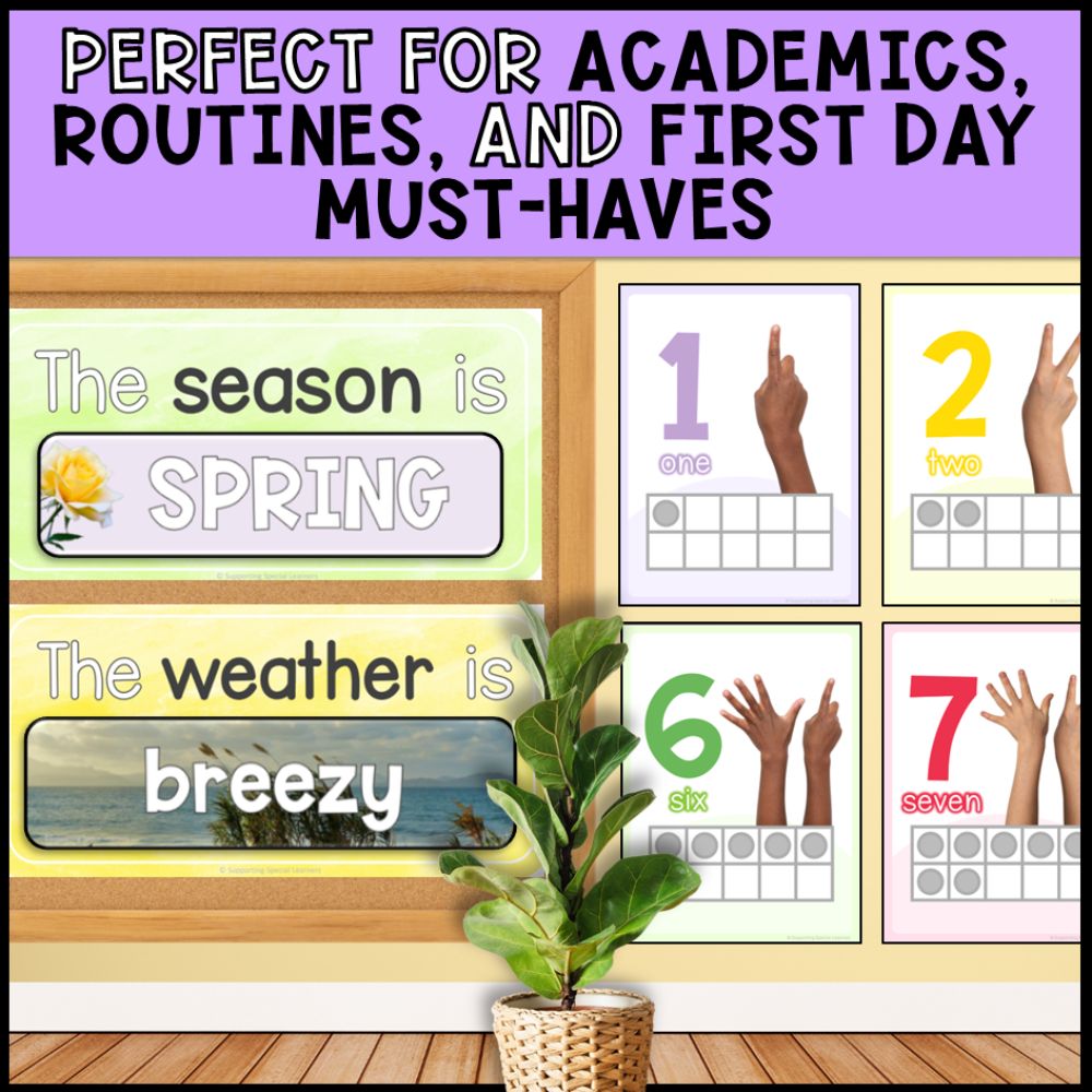 Special Education Classroom Decor with Real Images