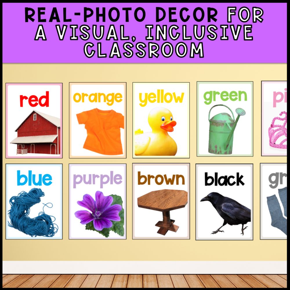 Special Education Classroom Decor with Real Images