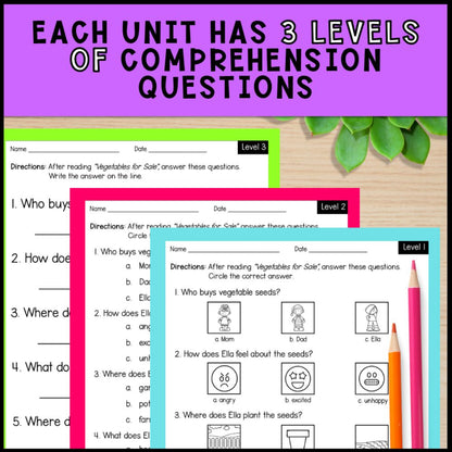 Spring Adapted Books with Comprehension Activities - Special Education