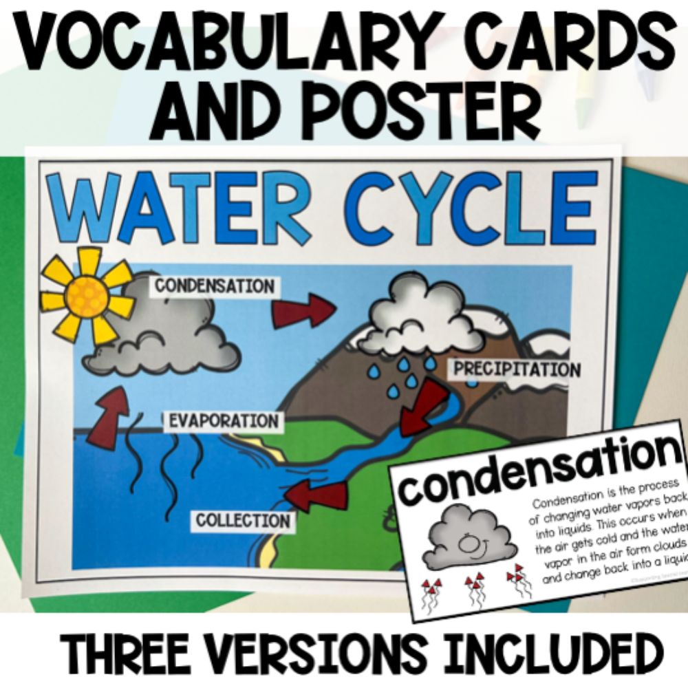 the water cycle activities vocabulary cards and poster