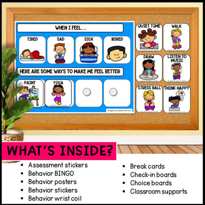 Visuals and Behavior Supports: Self Regulation - Special Education