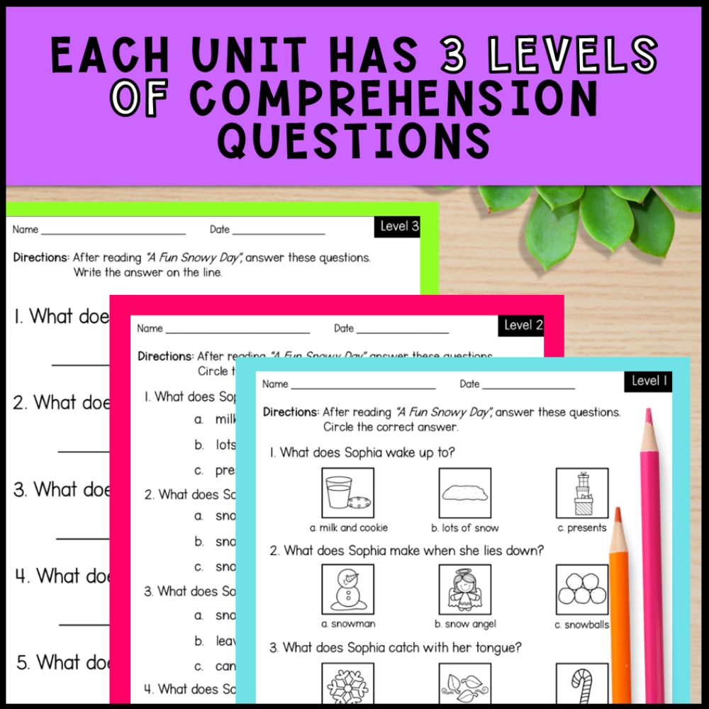 Winter Adapted Books with Comprehension Activities - Special Education